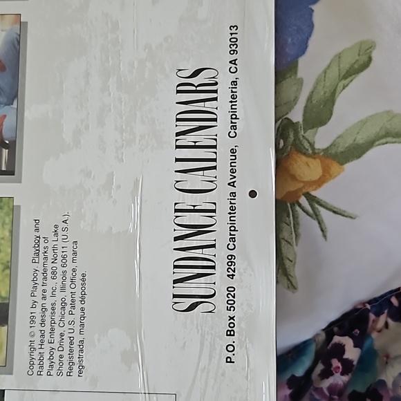 Playboy's Girls of Summer 1992 Calendar - Picture 4 of 5